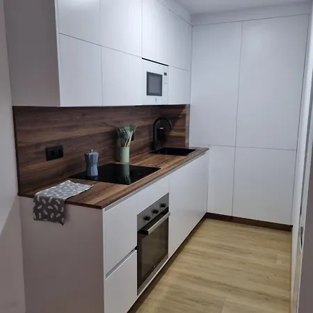 Ladeira 45 Appartement Baiona